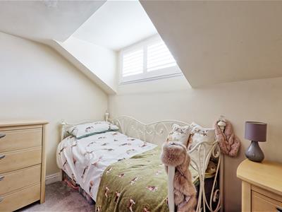 Picture 11